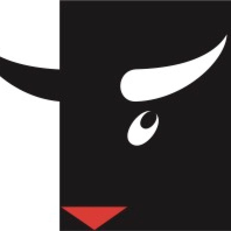 Logo des Salzburger Stier